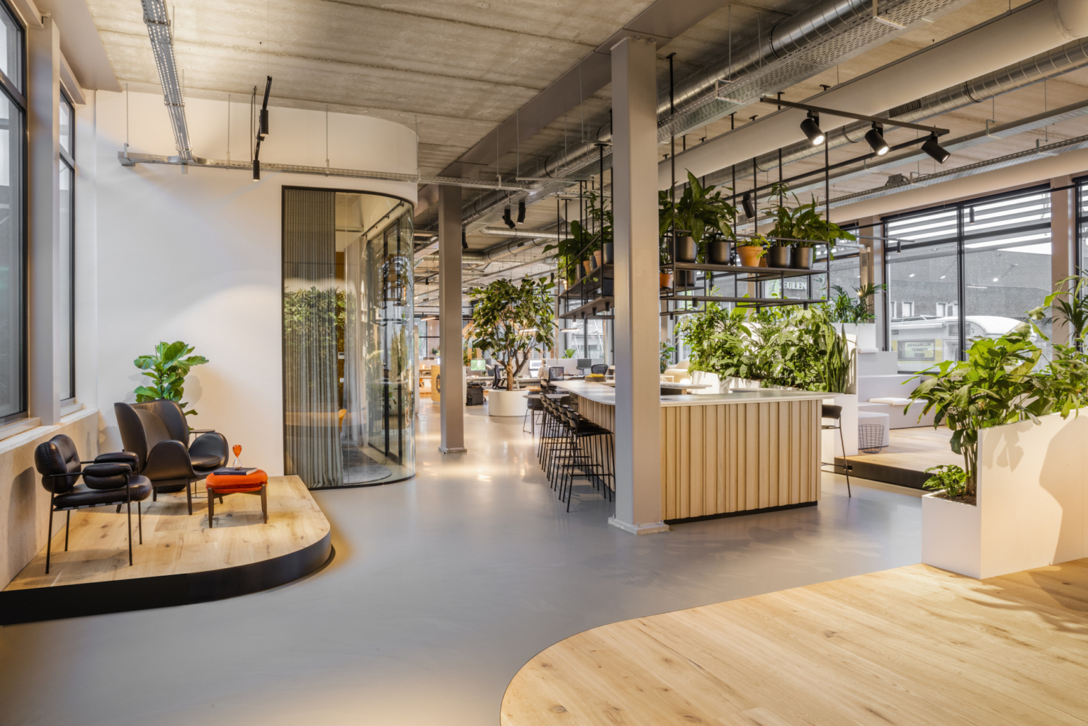Ánh sáng tự nhiên tạo điều kiện cho cây xanh phát triển | Nguồn: Interior Works Offices – Amsterdam.
